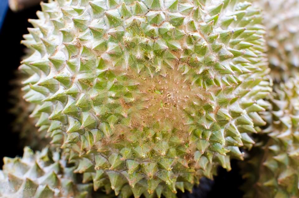 here are 5 things that will tell you if a durian is a “musang king”
