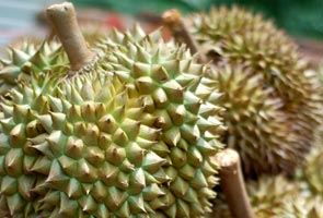 here are 5 things that will tell you if a durian is a “musang king”