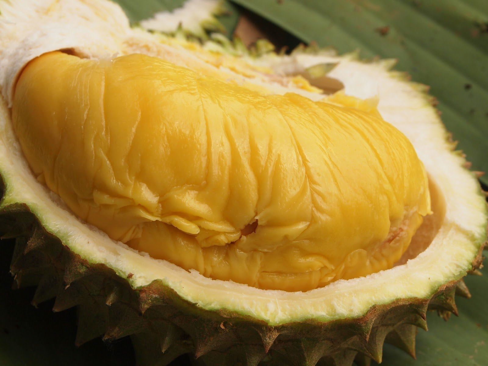 here are 5 things that will tell you if a durian is a “musang king”