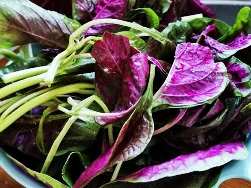 红红的苋菜，所包含的4大好处！