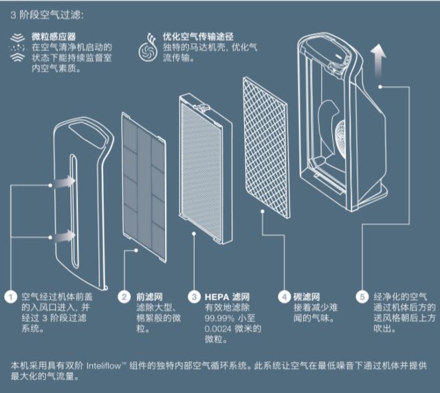 谨记这6个生活小妙招，一起改善家里空气质量！