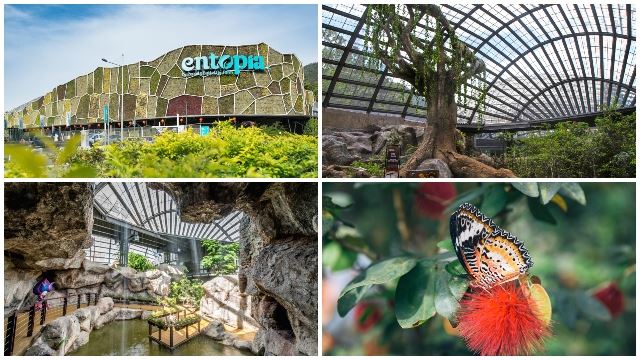 槟城7宗【最】，不来太可惜了！