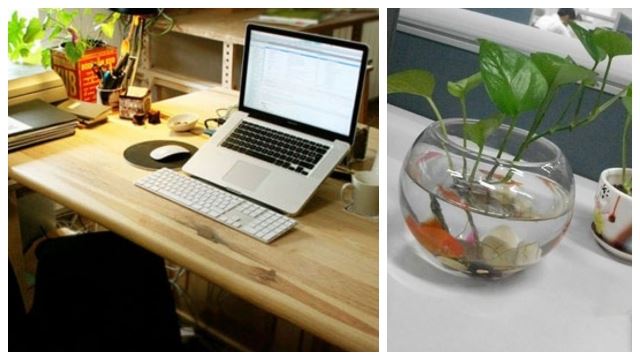 好运旺旺来!简单的办公室风水摆设大公开!