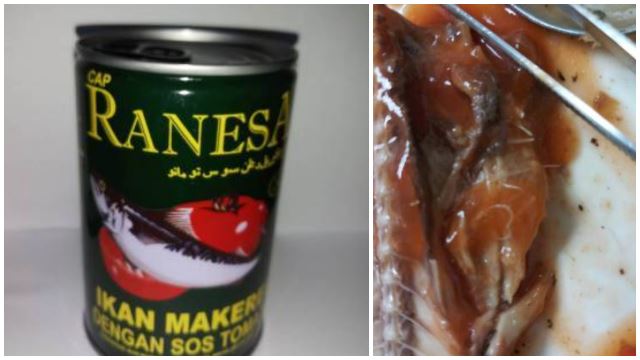 ranesa沙丁鱼罐头发现海兽胃线虫！