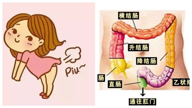 频放臭屁是大肠癌前兆?原来屁的成因还分这4种!