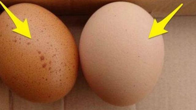 真的？尽量不要买长斑点的鸡蛋？