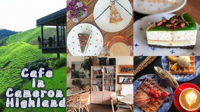 吹吹风采采草莓！推荐金马伦必打卡咖啡厅！