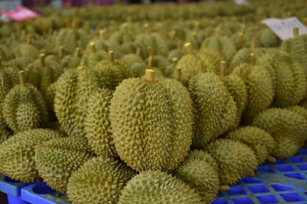 果中之王榴莲的5大好处!