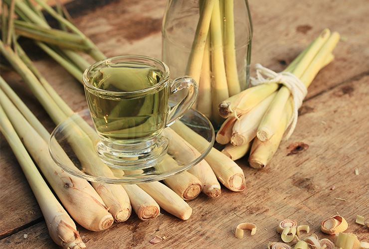 香茅的好处！