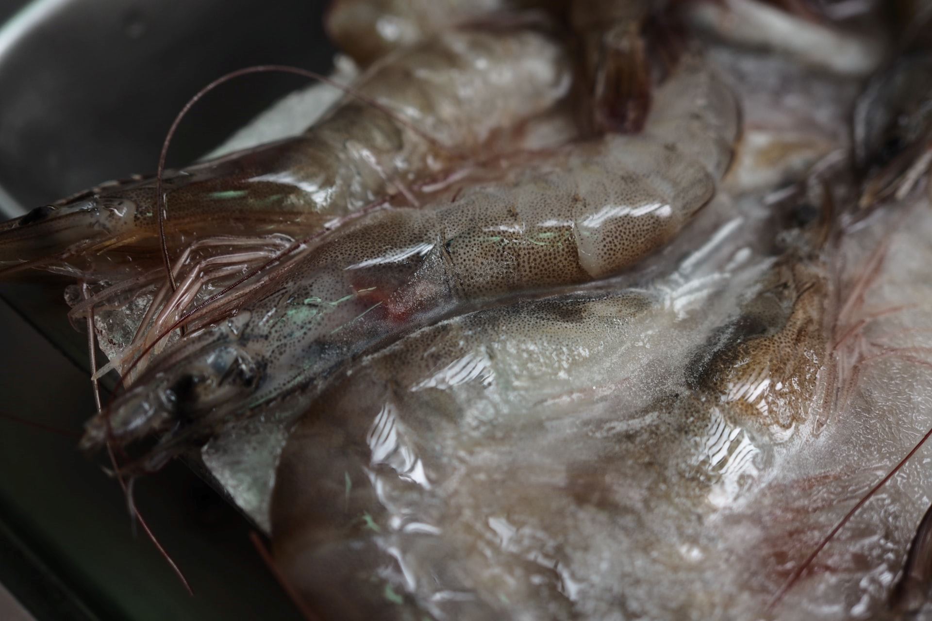 还觉得解冻肉类很耗时?教你如何10分钟快手解决!