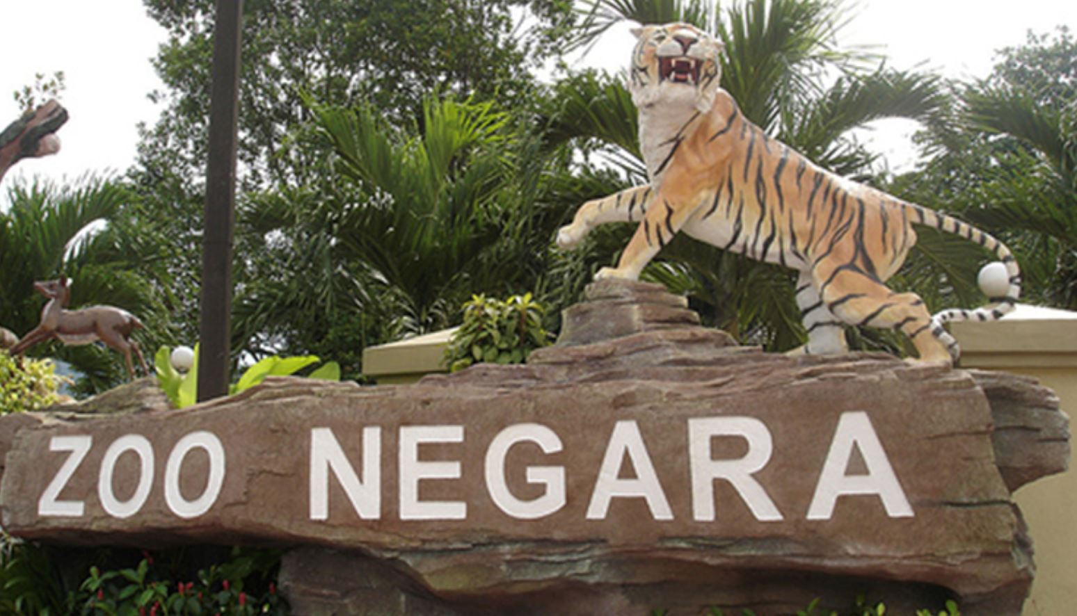 3月16日至4月15日的寿星都能免费入场大马国家动物园！