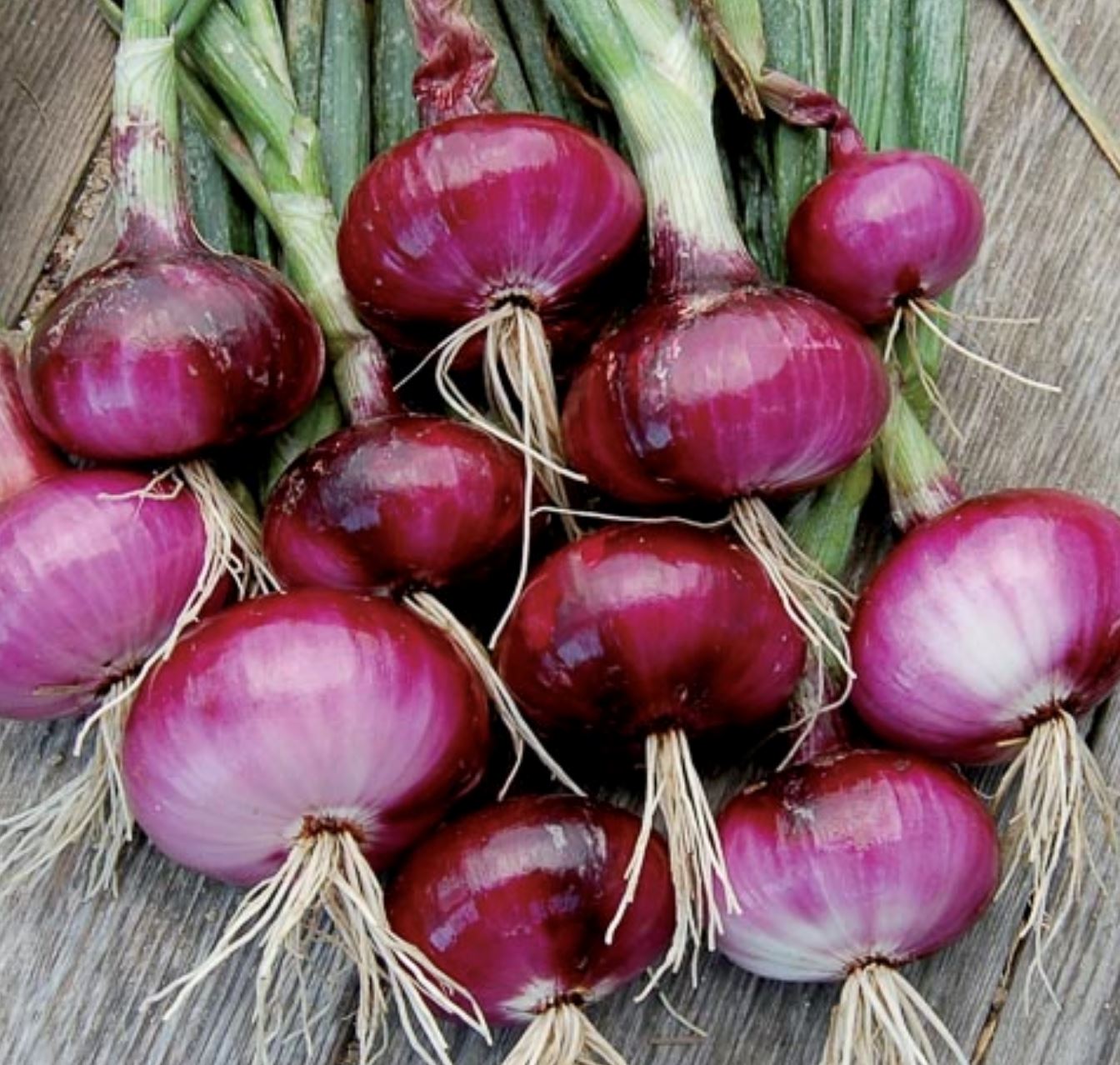 好神奇！8个必学的舒缓牙痛疗法！