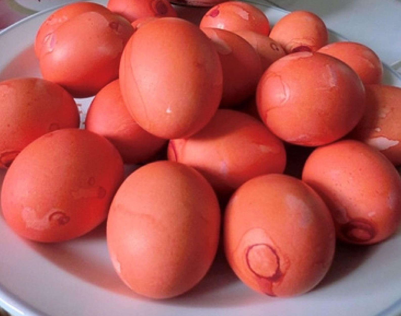 以后流浪猫不敢再出现你家！教你自制红色“赶猫水”！