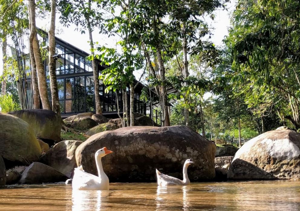 回归大自然！6间必去的大马世外桃源民宿！