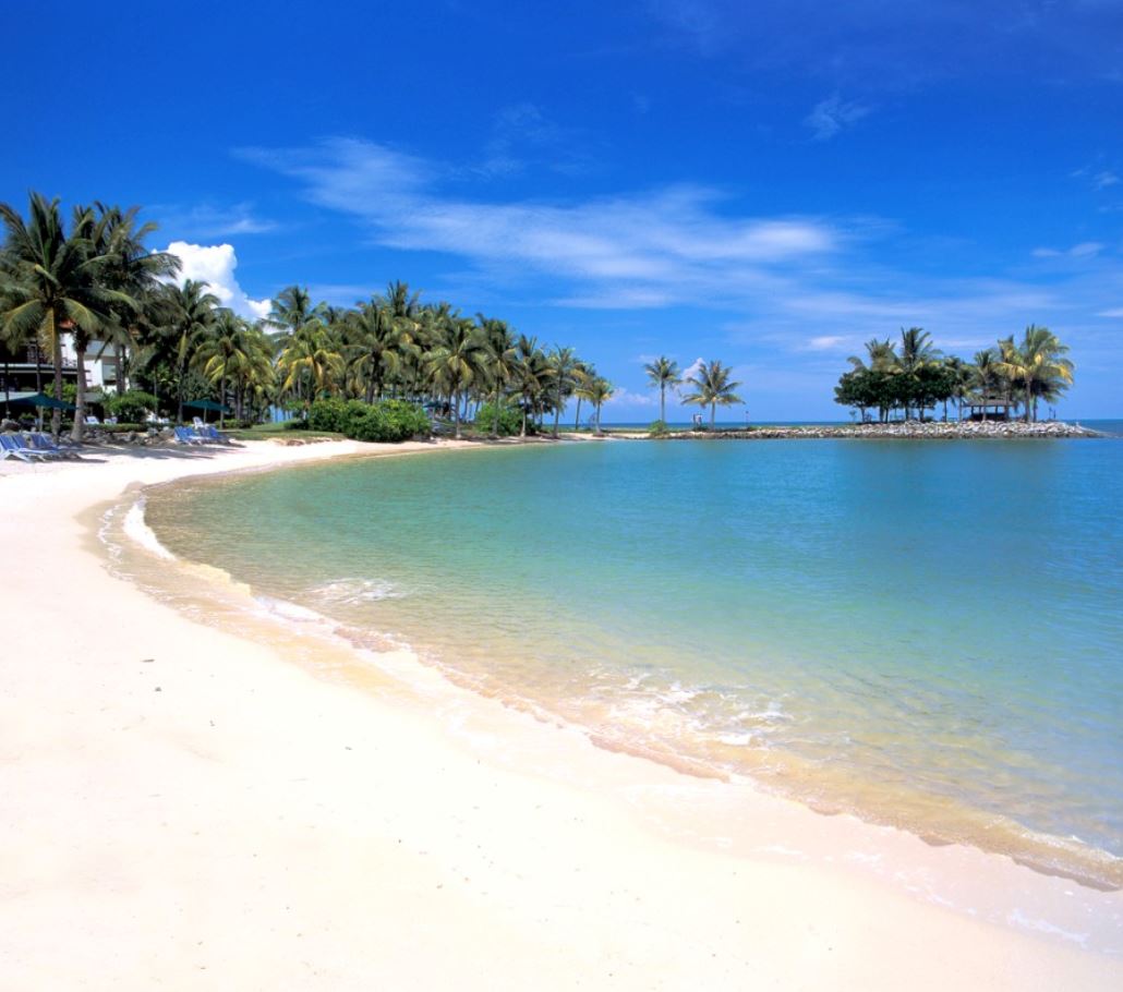 到海边要小心！青年在邦咯岛被黄海毛虫螫一口导致左脚瘫痪！