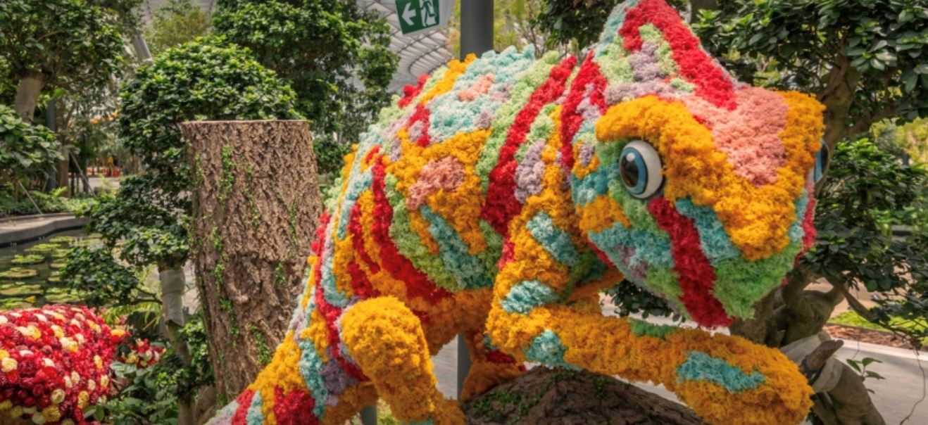 新加坡樟宜机场全新canopy park将在6月10日正式开放！