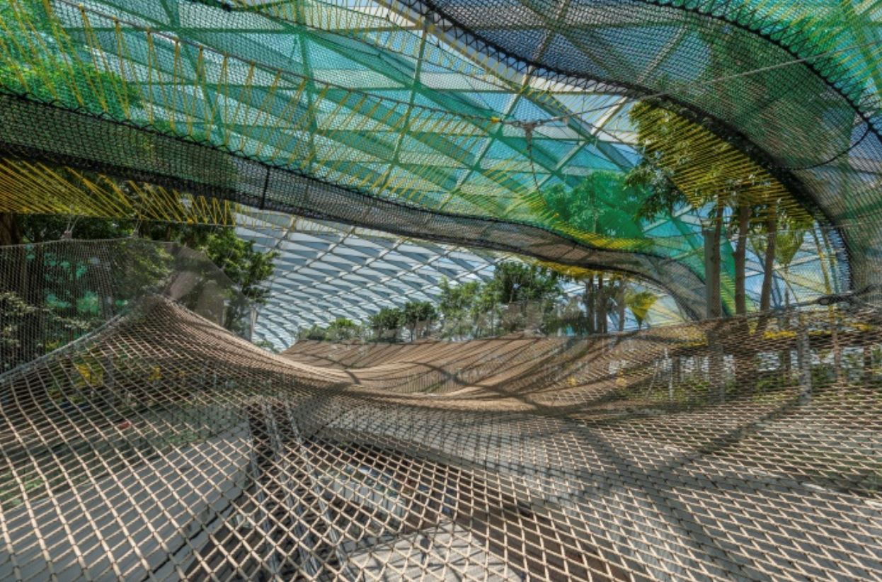 新加坡樟宜机场全新canopy park将在6月10日正式开放！