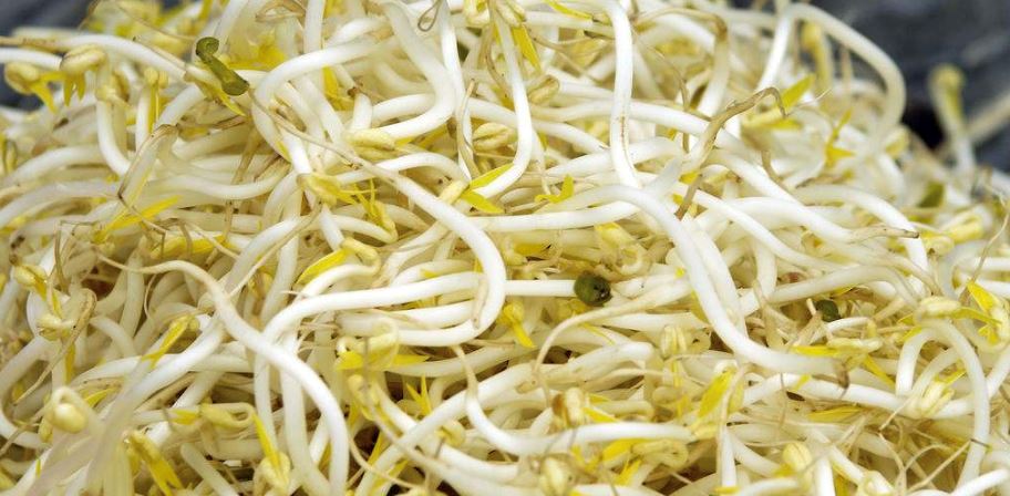 吃什么抗衰老? 这7种芽菜抗衰老助消化!