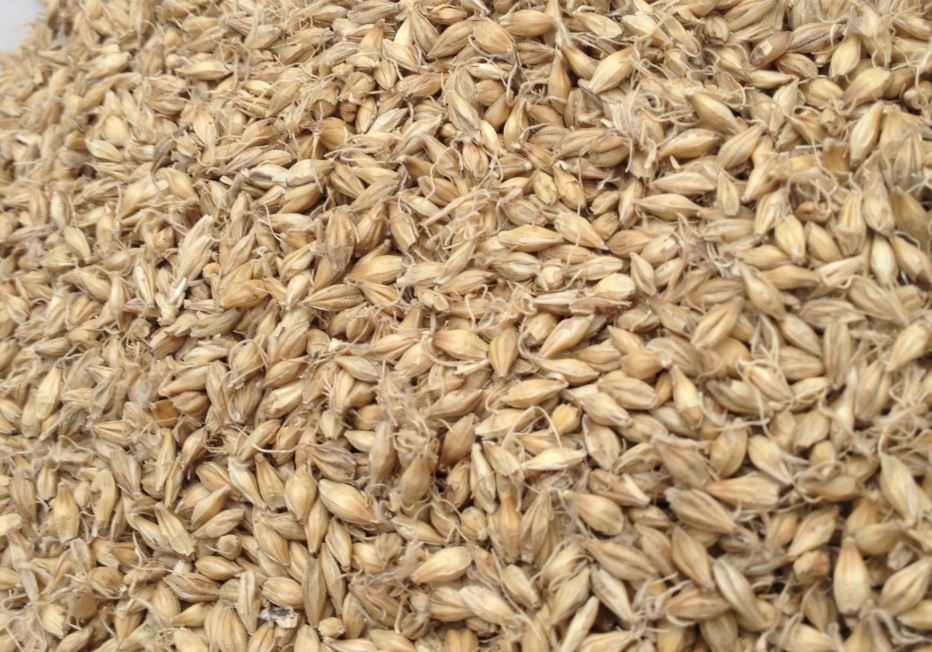 吃什么抗衰老? 这7种芽菜抗衰老助消化!