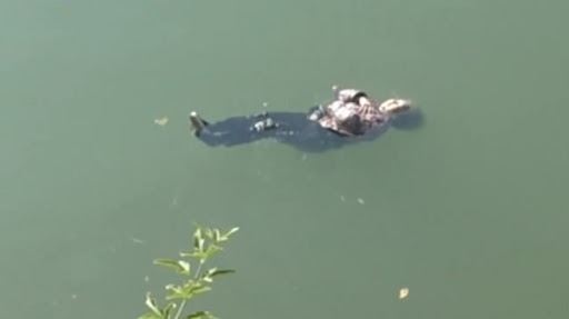 中国一名老奶奶不小心掉进水里，全靠一个动作成功自救！