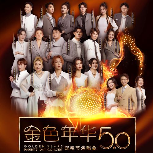 《金色年华5.0：我们的好时光 》游戏