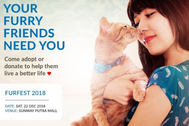 7 signs that show you’re way too attached to your pet