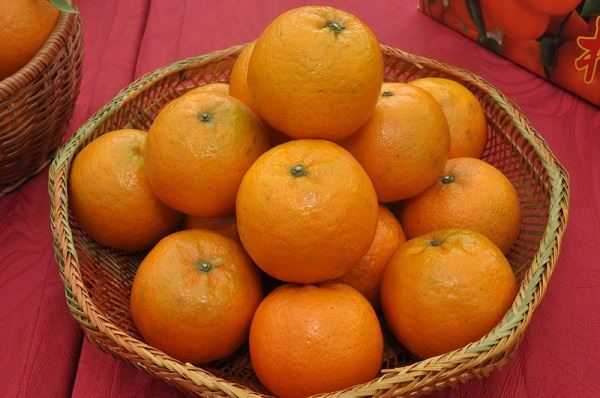 你我都不想错过的哈 ha 虾 团圆饭！