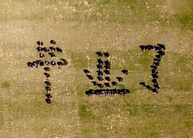 毕业照还在死板板的站在哪里？这样拍才cool啦！