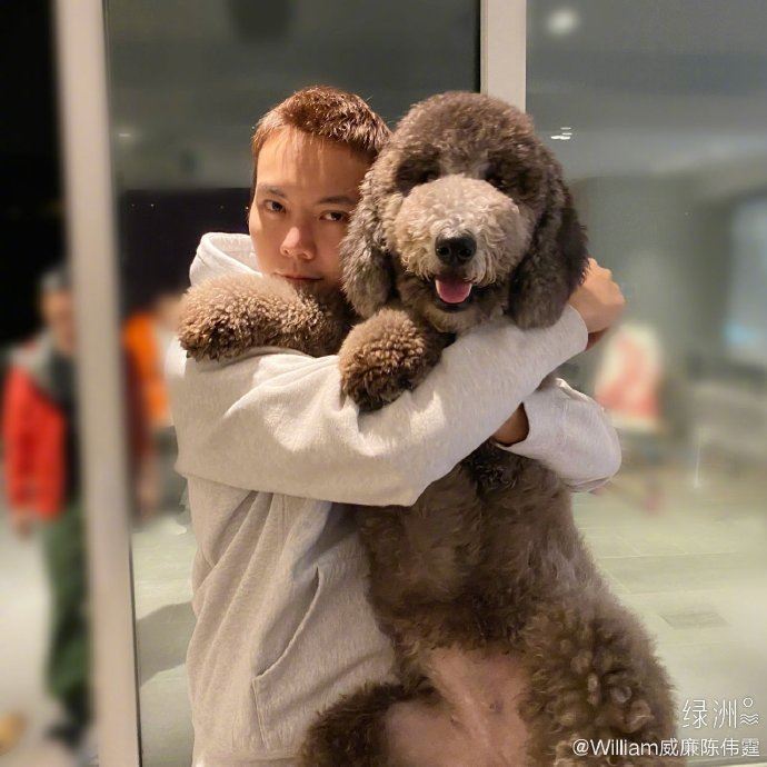 【内附短片】陈伟霆豪宅曝光！超无敌风景让粉丝超羡慕！ 