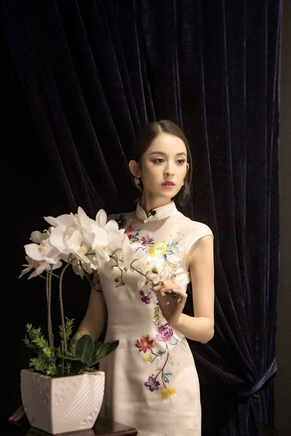 杨幂客串电影穿复古旗袍美爆!盘点6位超惊艳旗袍装女星