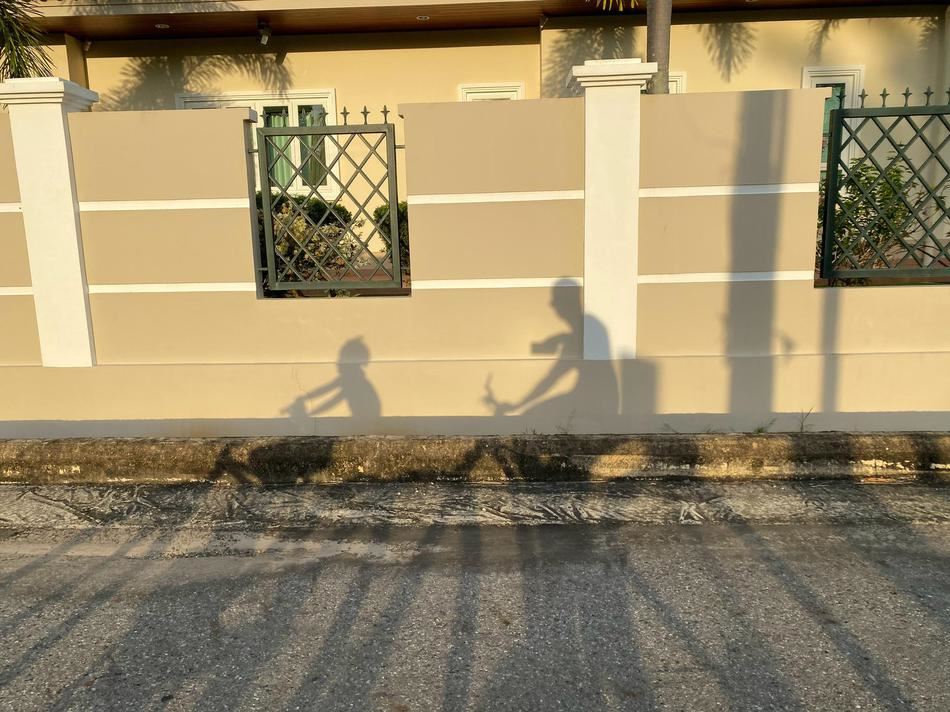 吴尊晒一家人日常，neinei遛狗max骑脚踏车，画面超温馨！