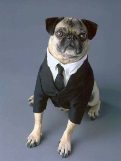 雷神与女武神化身黑衣人！《mib international》8位探员介绍