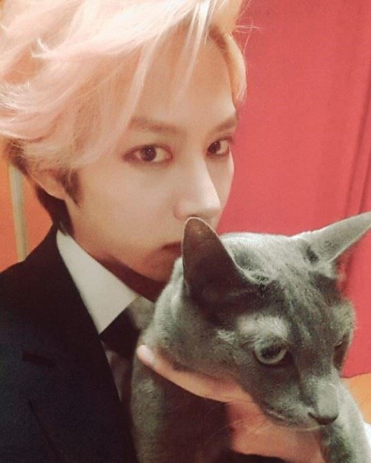 猫奴们记住了!盘点10个人类对猫的误解!