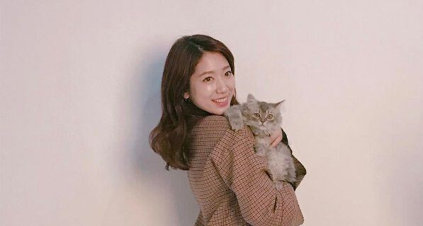 猫奴们记住了!盘点10个人类对猫的误解!