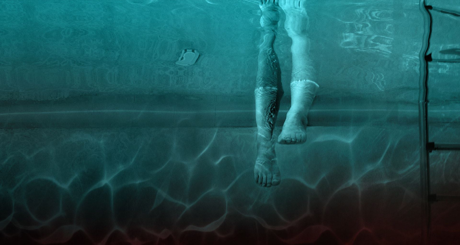 🎬温子仁监制恐怖片《night swim》❗新家后院泳池中隐藏着一股邪恶力量👻