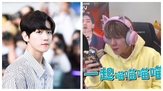 【影片】exo 伯贤中文超强！只听两遍就完美唱出《学猫叫》