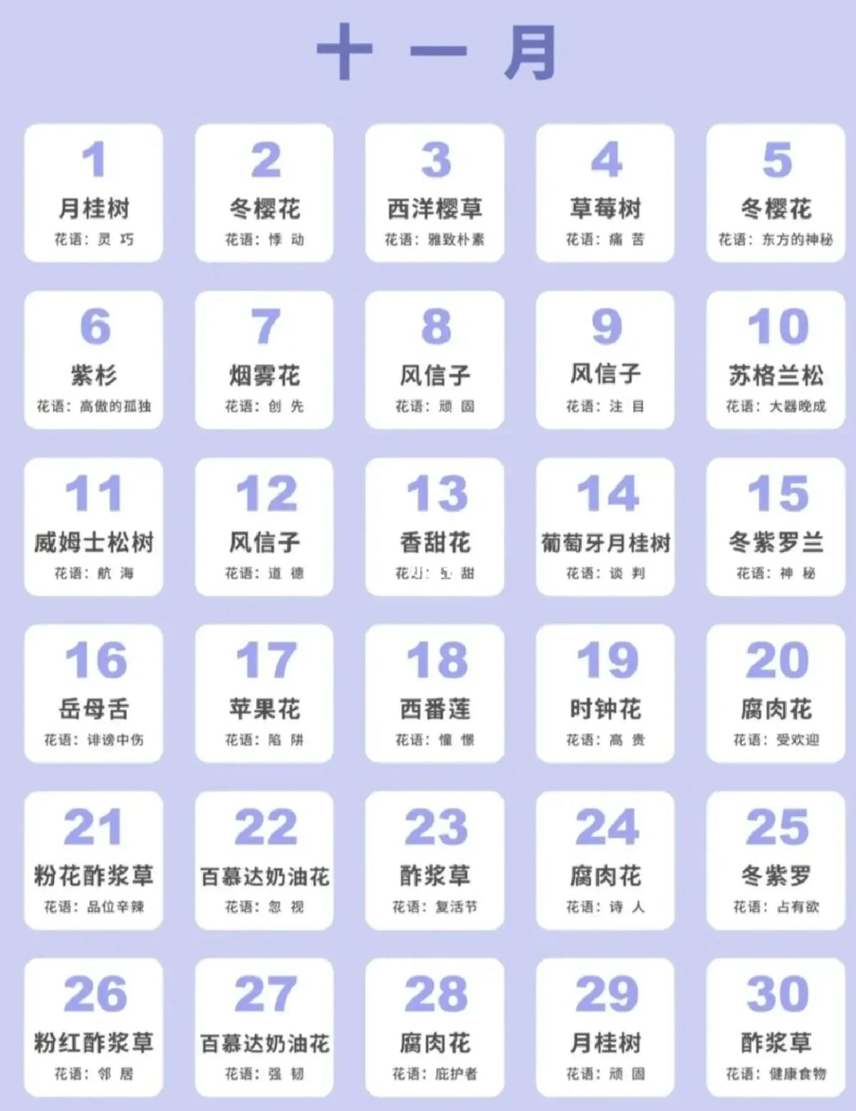 🎂原来生日也是有花语的❗️看ta哪天生日就送哪朵花吧🌸