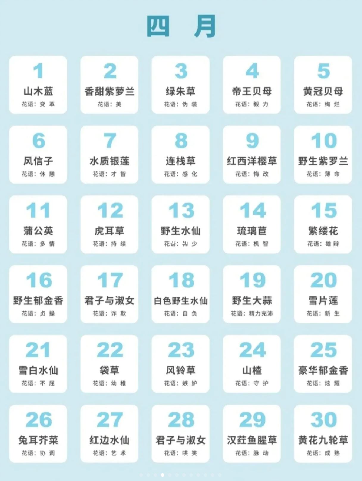 🎂原来生日也是有花语的❗️看ta哪天生日就送哪朵花吧🌸