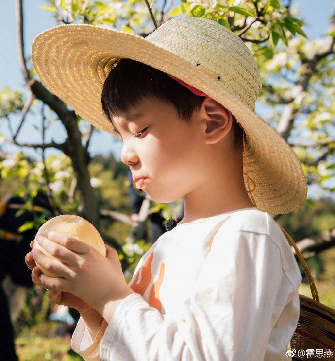 【多图】霍思燕晒母子照！甜亲嗯哼脸颊好有爱
