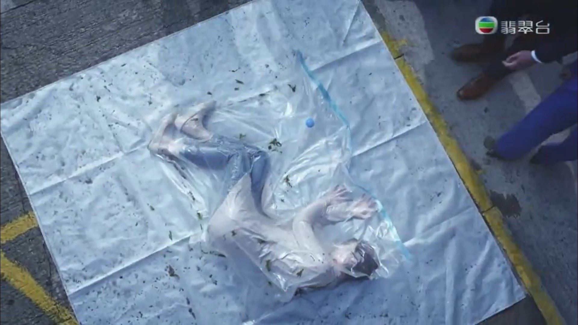 《法证先锋 iv》超恐怖!女演员扮死尸睡真空袋!李施嬅惊:最深刻的一场戏