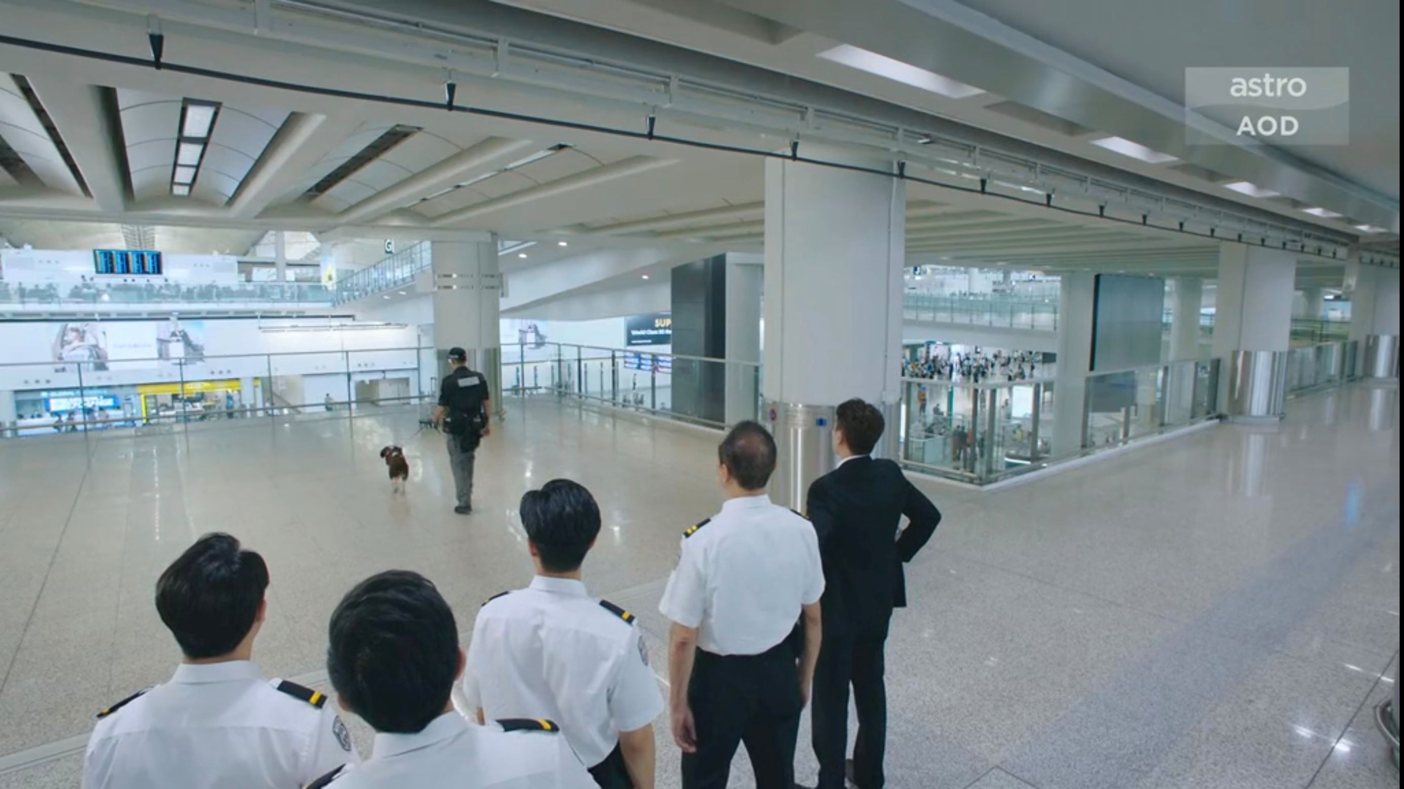 📺tvb《飞常日志》机场搜索犬🐶执行任务之余还担当亲善大使💕