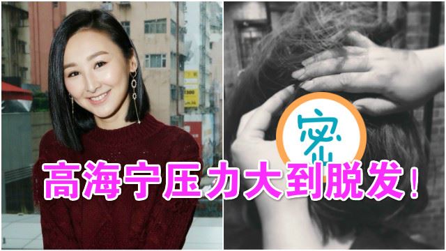 压力大到脱发！高海宁被“鬼剃头”头上出现两个洞