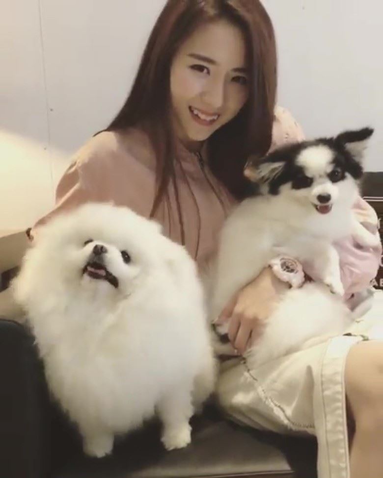 吕慧仪是第三者？！张景淳正牌女友原来是她