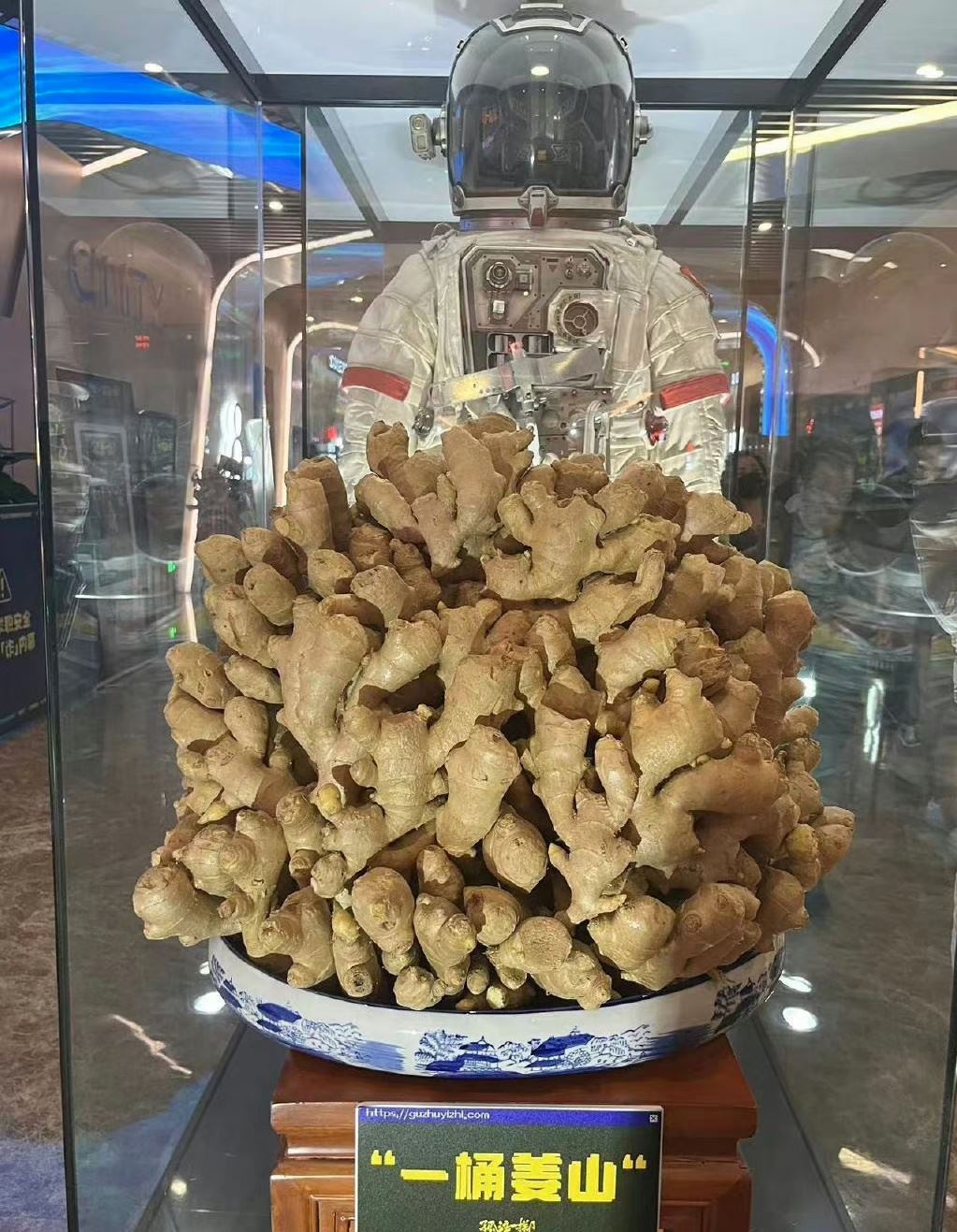 电影孤注一掷隐藏细节❗诈骗集团的作案地点为什么在学校🤔