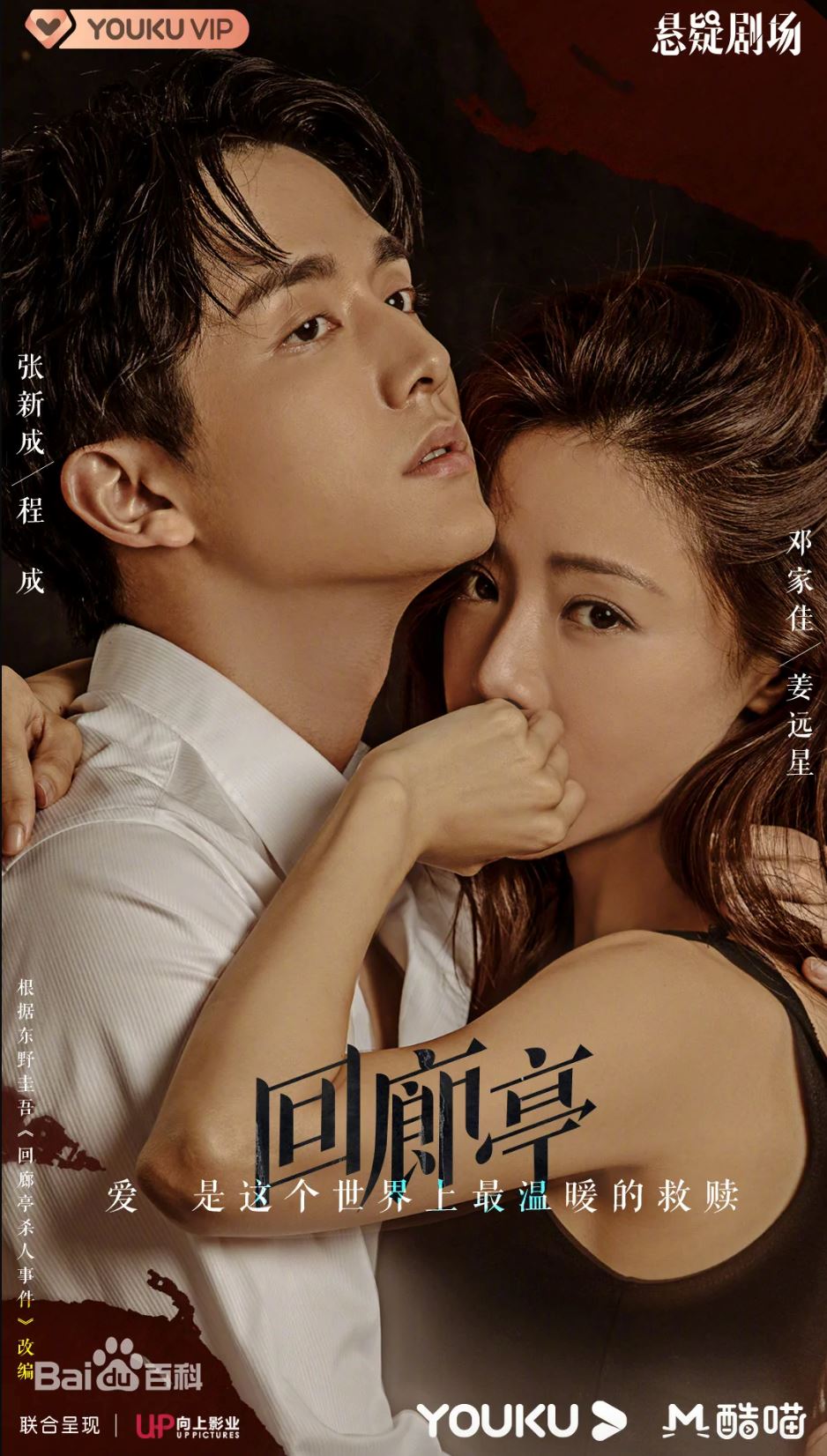 📺东野圭吾粉丝必追❗️《回廊亭》改编小说🔥张新成主演