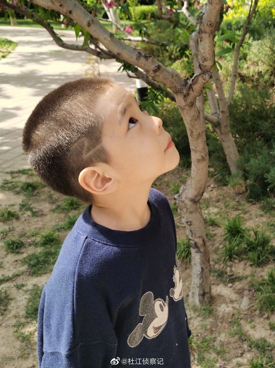 嗯哼寸头照好帅！清爽又可爱，网民：有霸道总裁 feel！