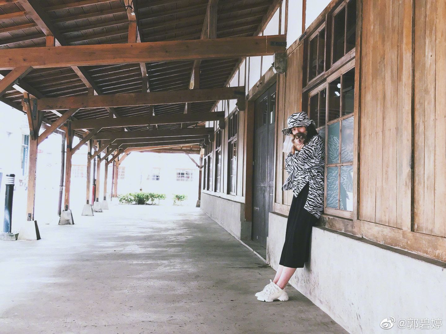 郭碧婷一身宽松斑马装,刻意挡住小肚凸,被网友怀疑已怀孕!