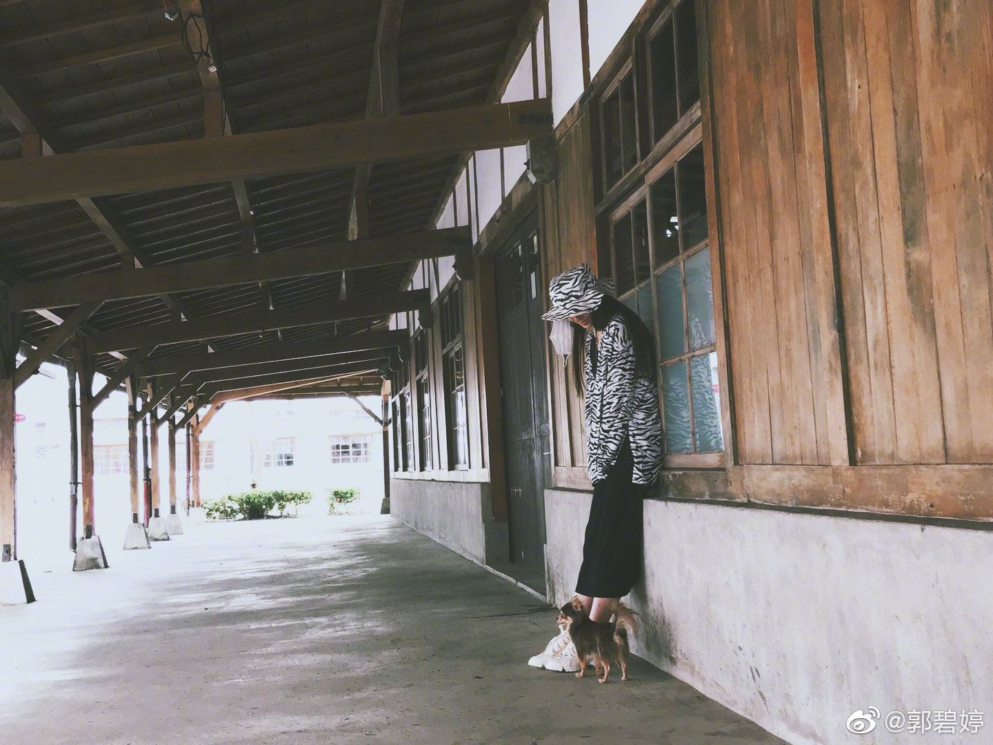 郭碧婷一身宽松斑马装,刻意挡住小肚凸,被网友怀疑已怀孕!