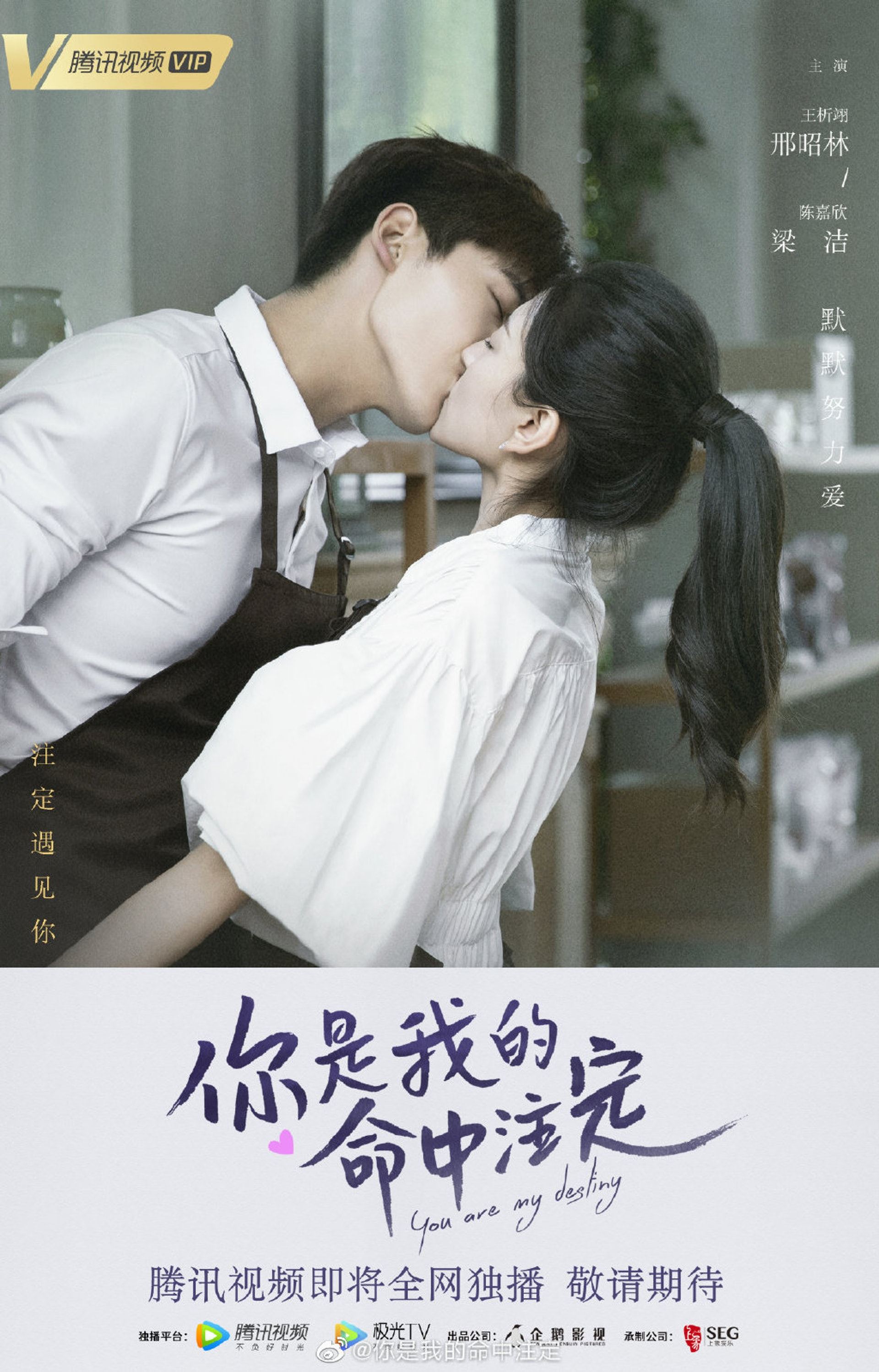 盘点14部6月开播的中国剧!高以翔的遗作要登场了