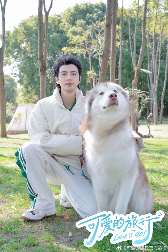 📺治愈综艺《可爱的旅行》🐶嘉宾们带上自家萌宠出去玩🌟